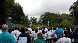 Photo Courtesy of Kris Niedringhaus