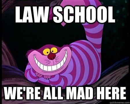 b075b69db6f754c096601510216949b7-law-students-cat-wallpaper